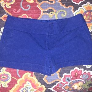 Royal Blue Shorts